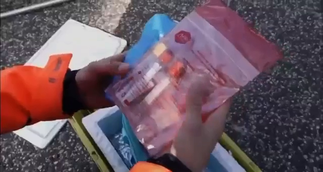 Bolsas y tubos de muestras sanguíneas preparados para el transporte